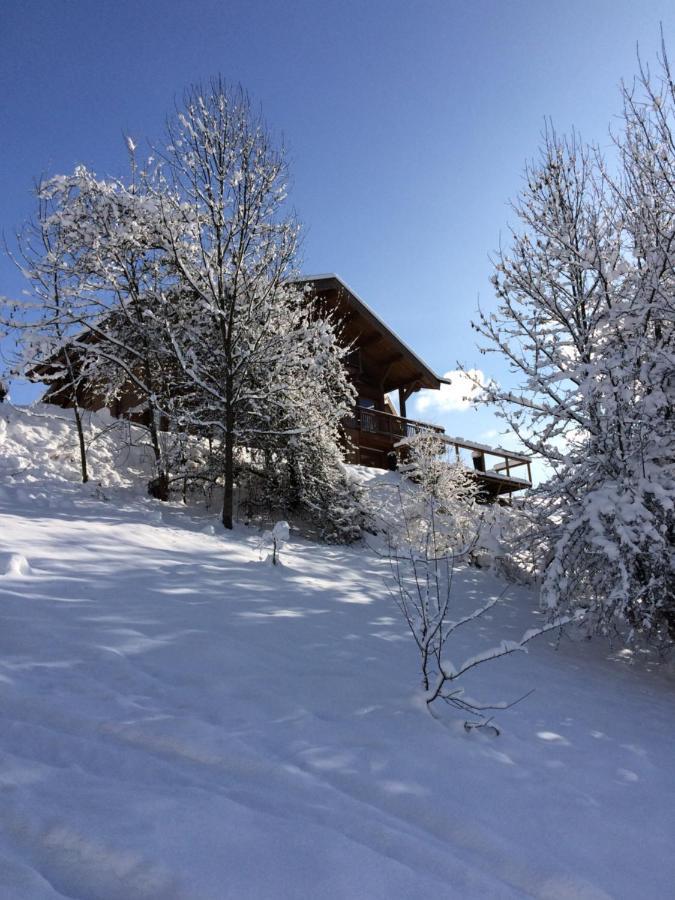Chalet Chamois Vila Morzine Exterior foto
